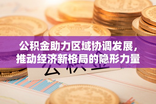 定日公积金助力区域协调发展，推动经济新格局的隐形力量