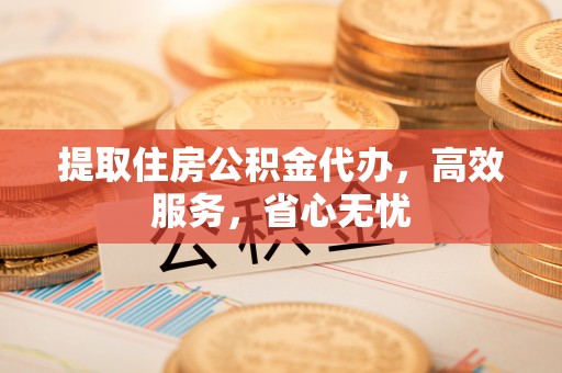 定日提取住房公积金代办，高效服务，省心无忧