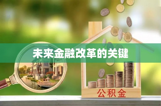 定日未来金融改革的关键