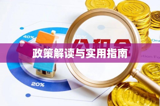 定日政策解读与实用指南